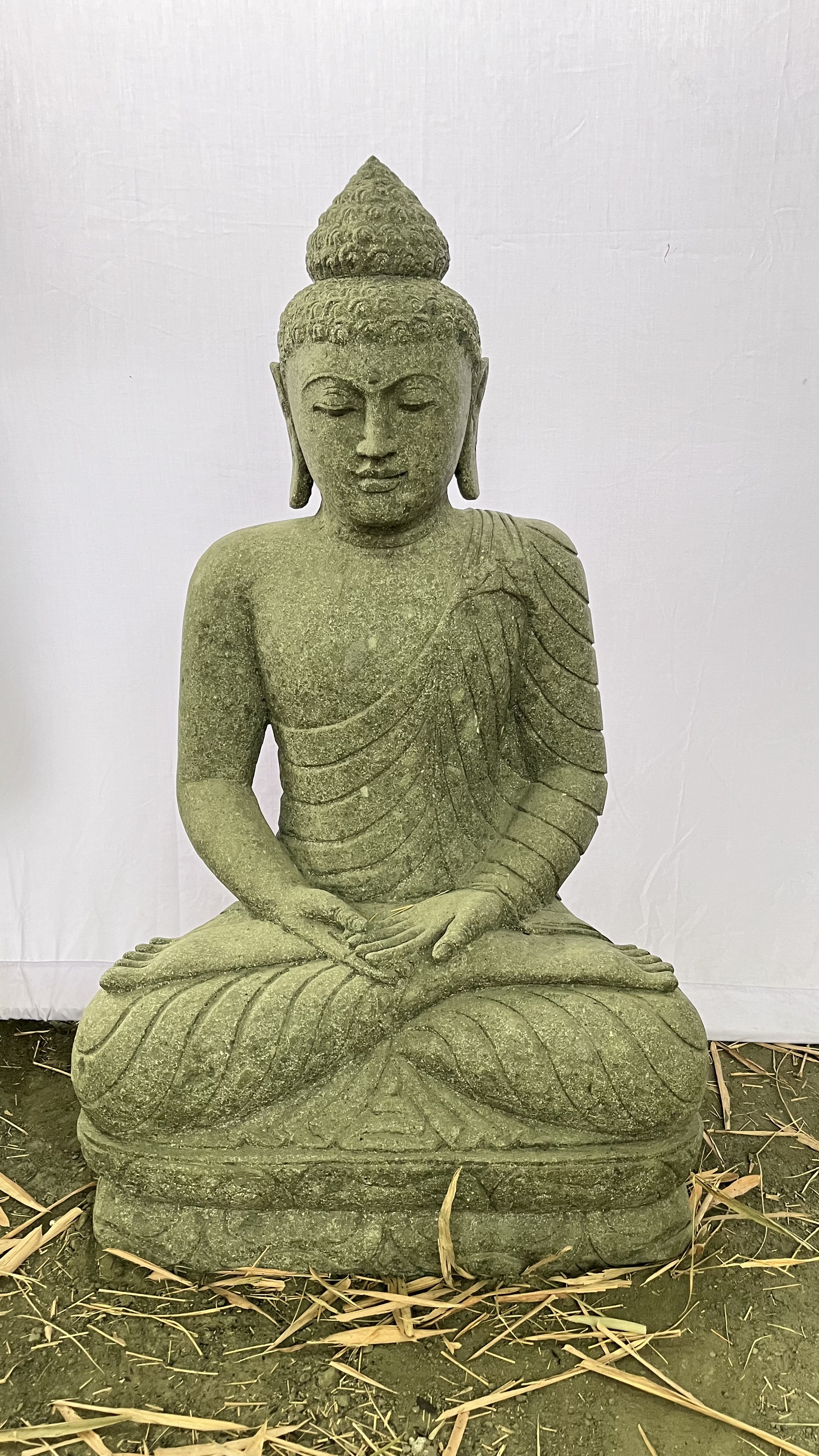 Bouddha assis Mudra Rapittara